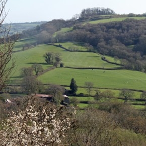View the gallery